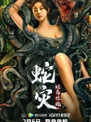 完美搭档